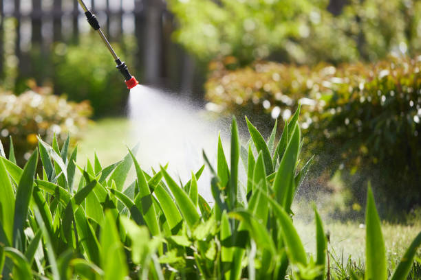 24/7 Emergency Ant Control experts in St. Leo, FL