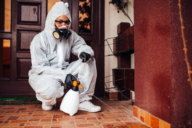 Reliable Ant Control contractor in St. Leo, FL by Show Me Pest Control